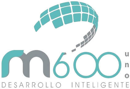 RM601 Desarrollo Inteligente